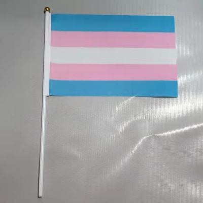 پرچم های دگرباشان جنسی دستی 100 بعدی پلی استر با کیفیت بالا پرچم های رنگین کمانی سفارشی